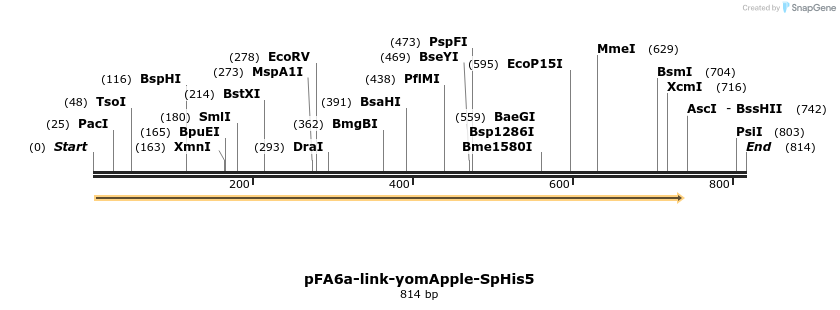 63736_map