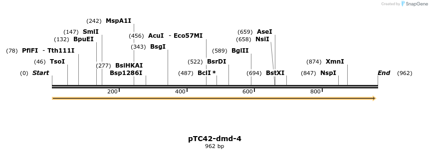 63738_map