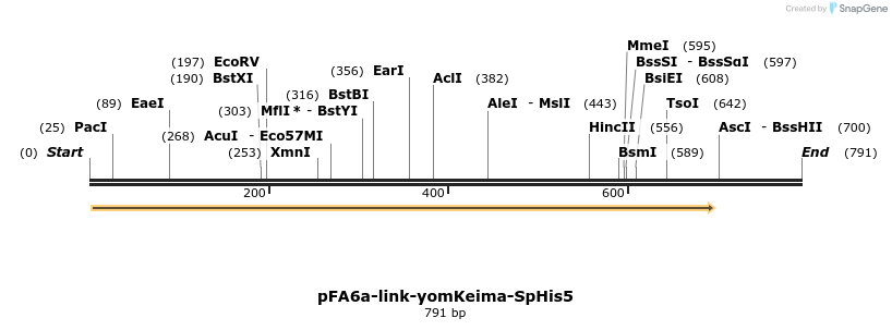 63741_map