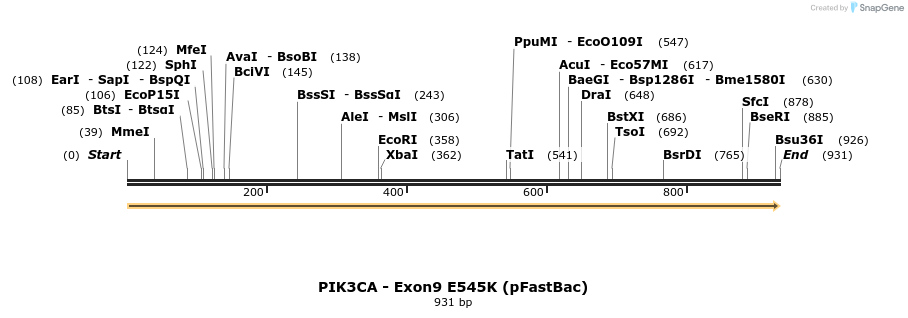 63742_map