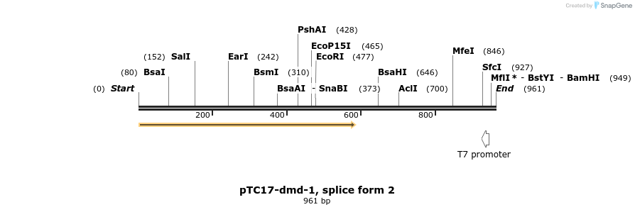 63743_map