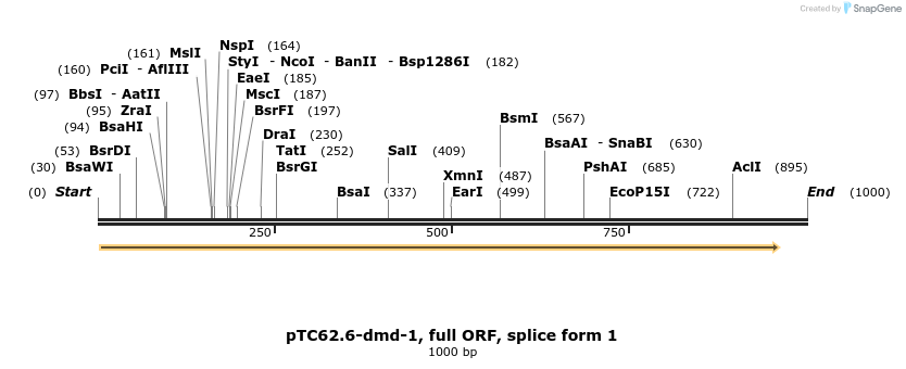 63745_map
