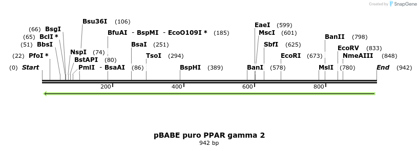 63746_map