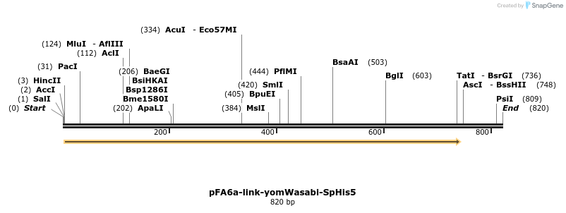 63748_map