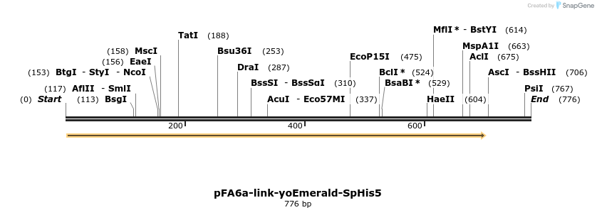 63749_map