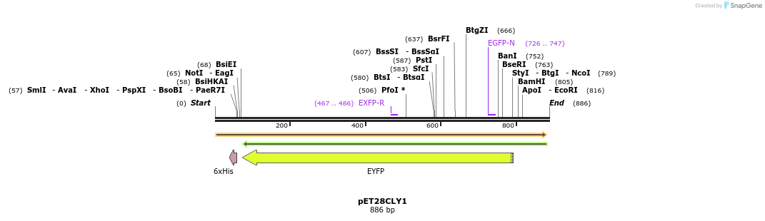 63752_map