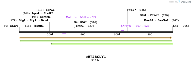 63753_map