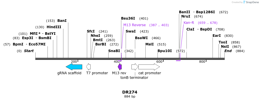 63769_map