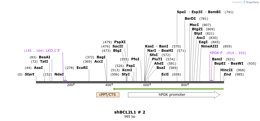63789_map