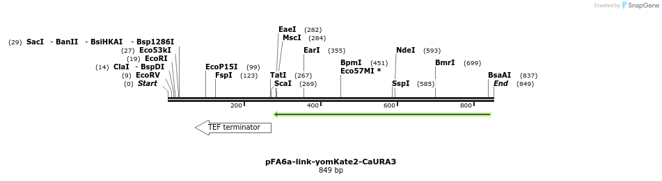63796_map