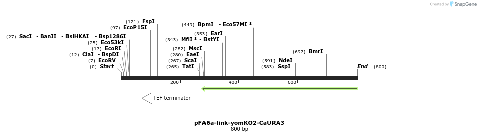 63798_map