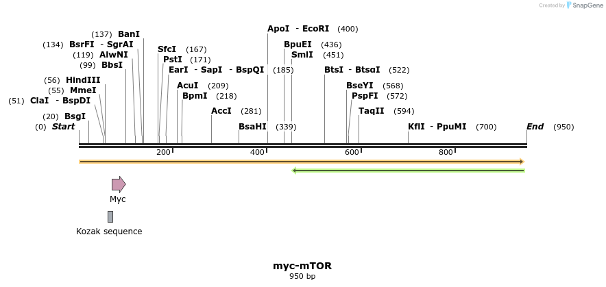 63799_map