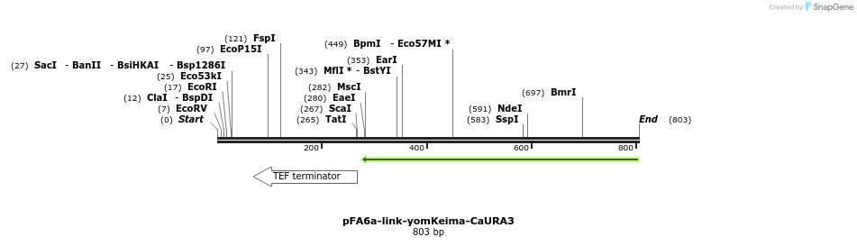63800_map