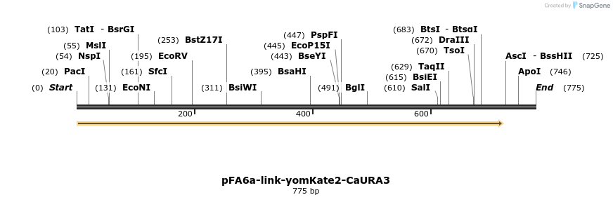 63802_map