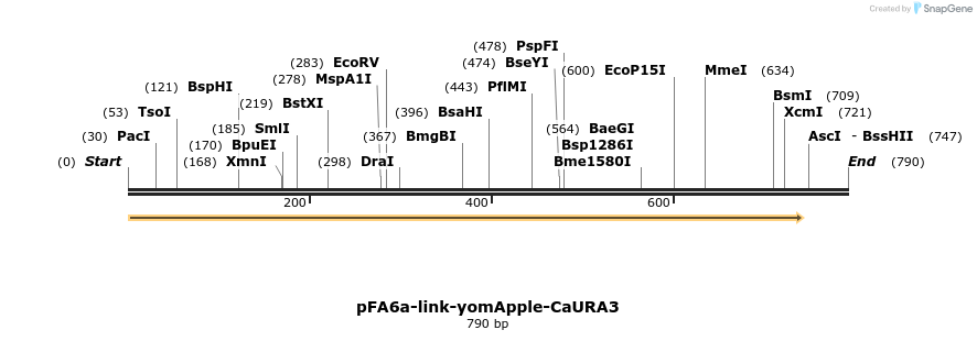 63803_map