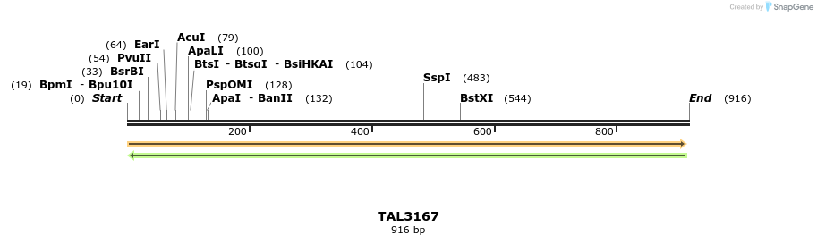 63809_map