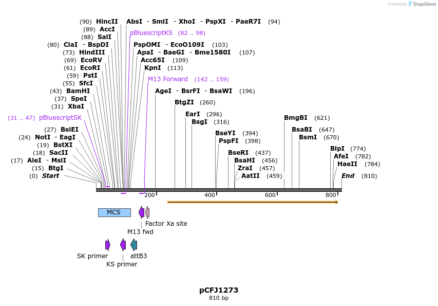 63811_map