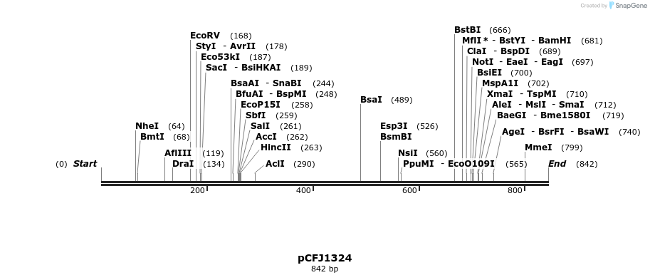 63818_map