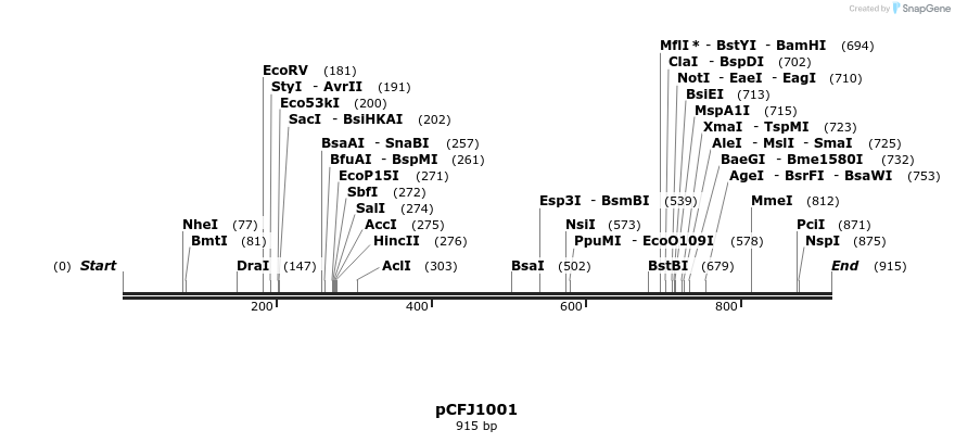 63821_map
