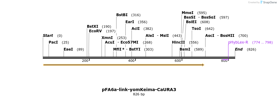 63828_map