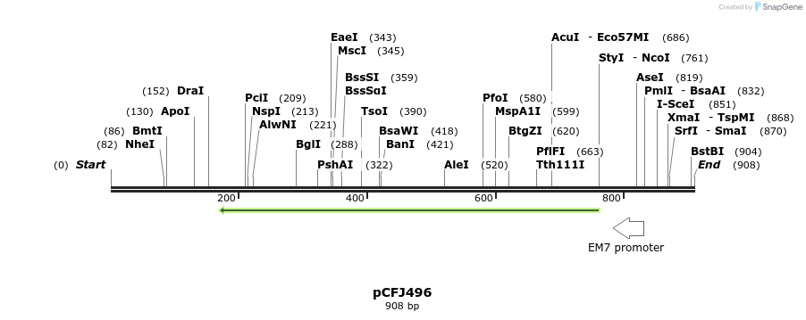 63832_map