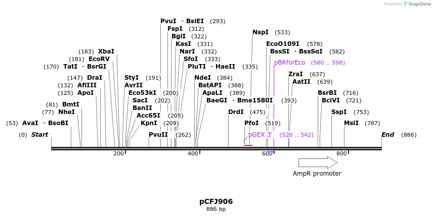 63840_map