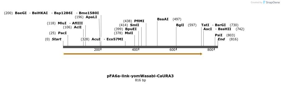 63845_map