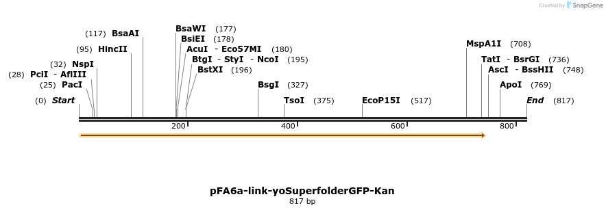 63851_map
