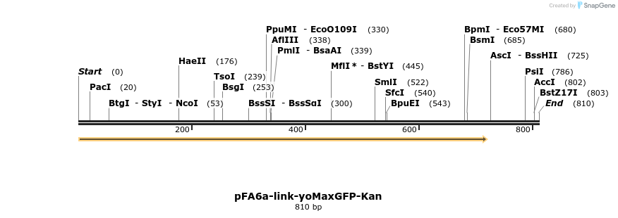63852_map