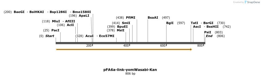 63863_map