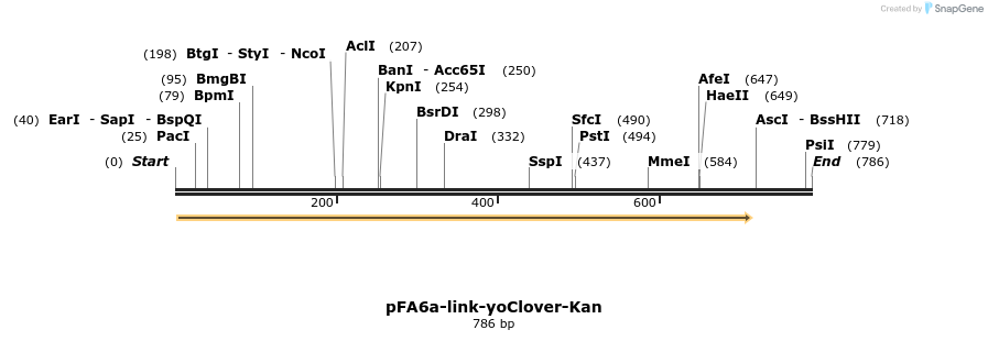63864_map