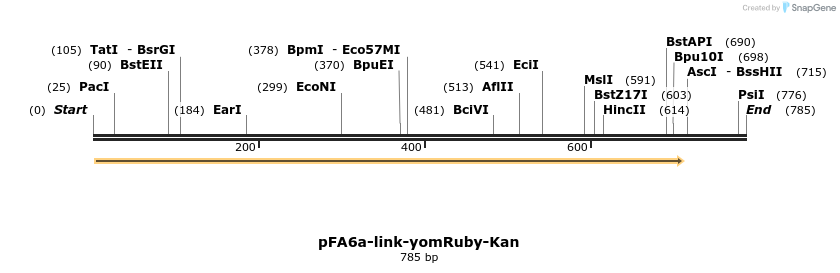 63867_map