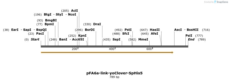 63869_map