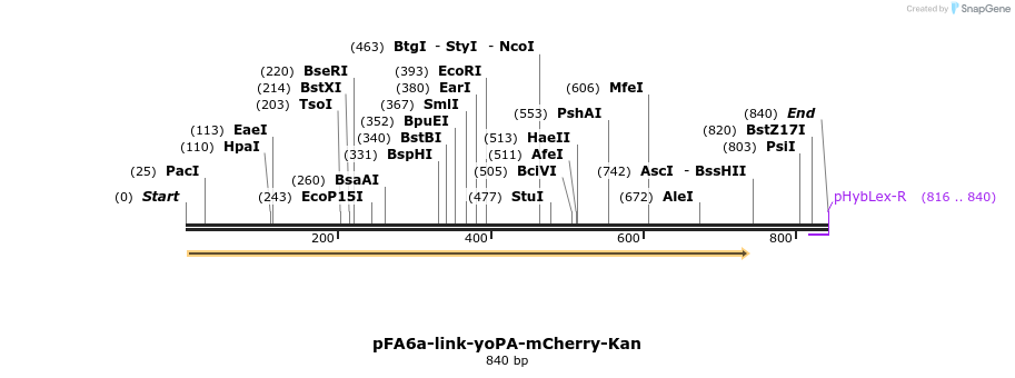 63872_map