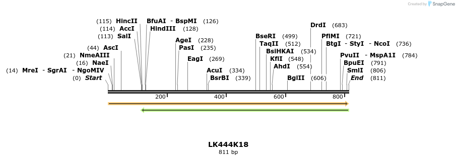 63876_map