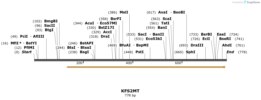 63877_map