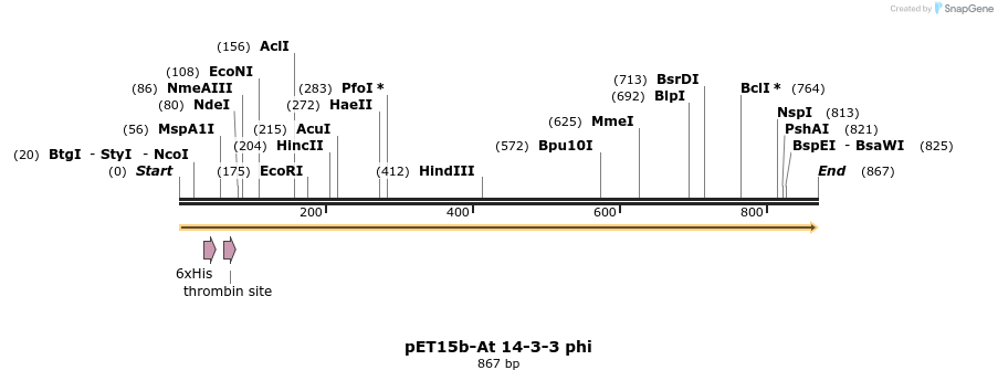 63880_map