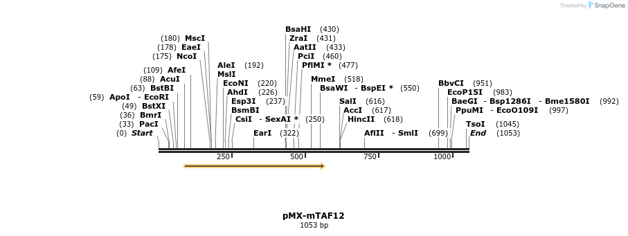 63883_map