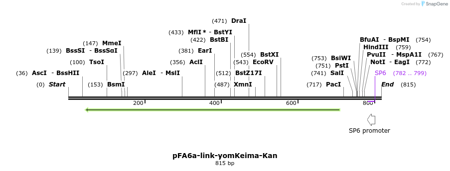 63884_map
