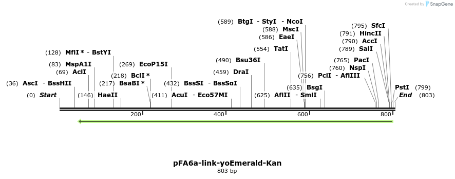 63885_map