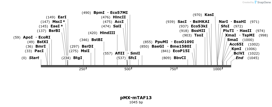 63886_map