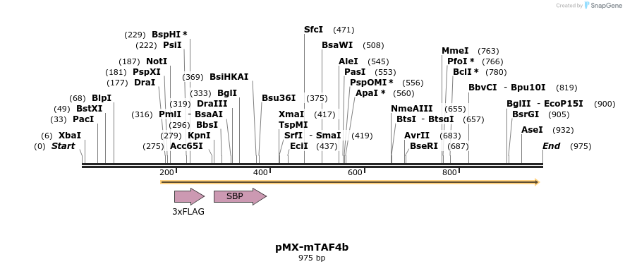 63887_map