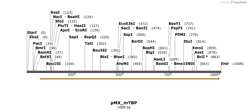 63889_map