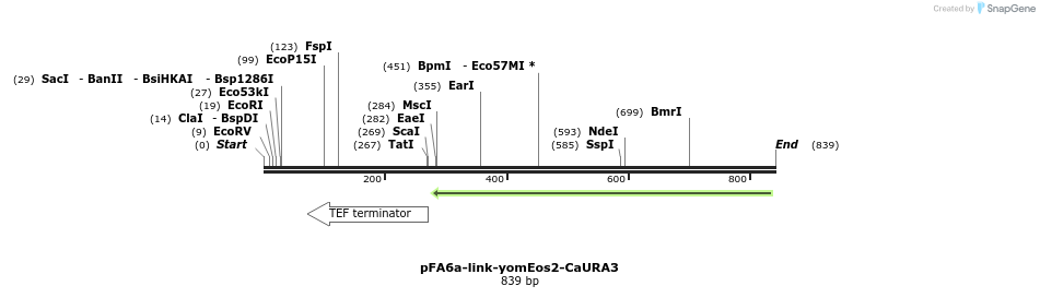 63891_map