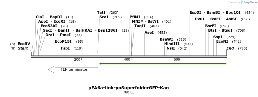 63894_map