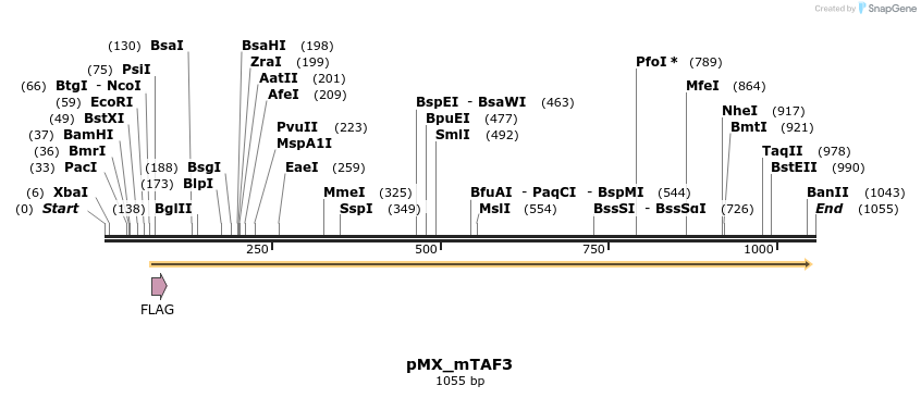 63897_map