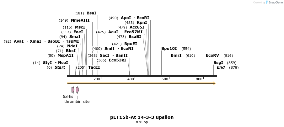 63900_map