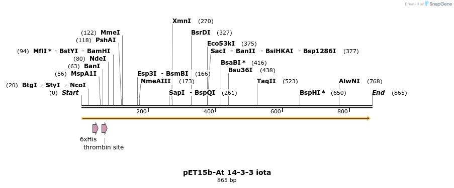 63902_map