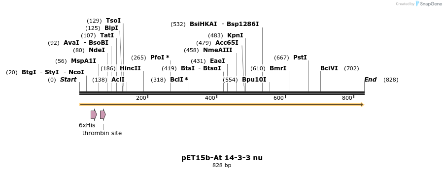63904_map