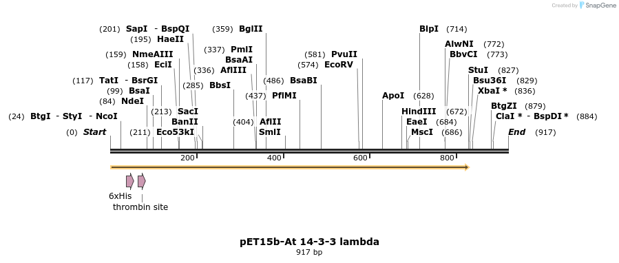 63905_map